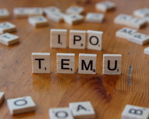 NSE IPO Details: The Best Guide to Smart Investing