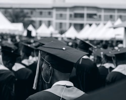 AI Crowding Fresh Graduates: Is This the Worst Trend for India?